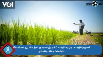 تسريع الزراعة.. وزارة الزراعة تدفع بزراعة بذور الأرز مانديري استعدادًا لتوقعات جفاف بانجانج